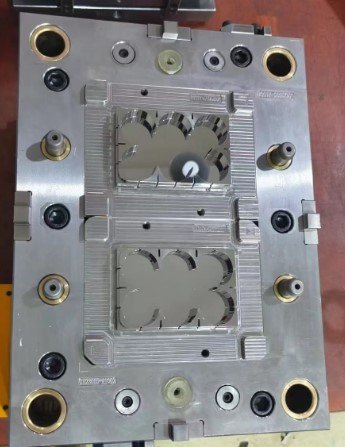 Cultivation board mold