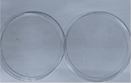 150mm cell culture dish