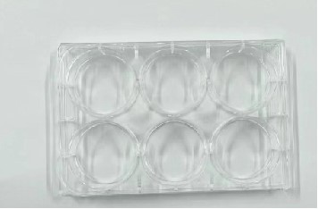 Bottom cover of six hole culture plate