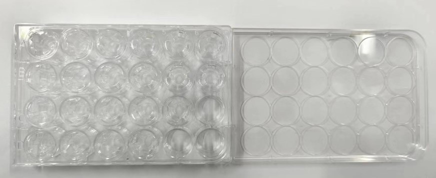 24 well flat bottomed cell culture plate