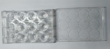 12 well flat bottom cell culture plate