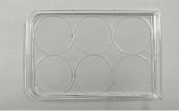 Six well culture plate cover