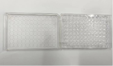 96 well flat bottom cell culture plate