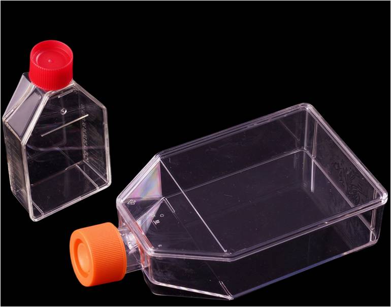 cell culture bottle