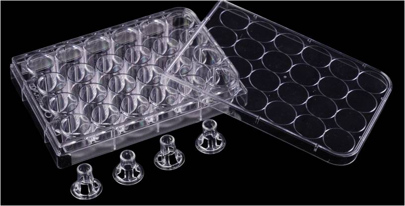 24 well cell culture plate