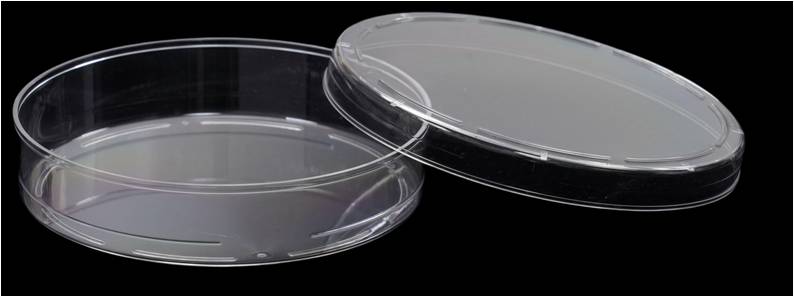 tissue culture dish